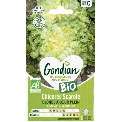 GONDIAN BIO-Chicorée...