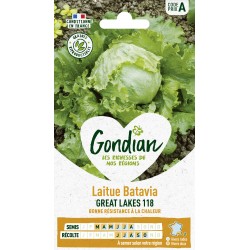 GONDIAN Laitue Batavia...