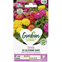 GONDIAN Zinnia DE...