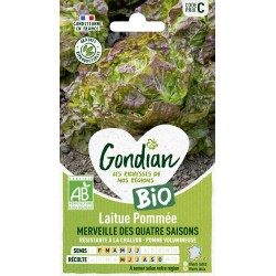 GONDIAN BIO-Laitue Pommée...