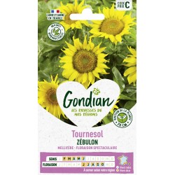 GONDIAN Tournesol ZÉBULON...