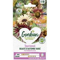 GONDIAN Tournesol BEAUTÉ...