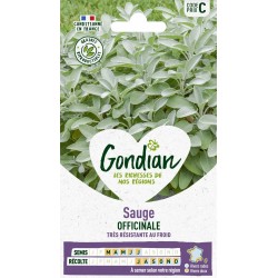 GONDIAN Sauge OFFICINALE...