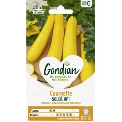 GONDIAN Courgette SOLEIL...