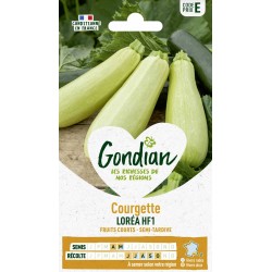 GONDIAN Courgette LORÉA HF1...
