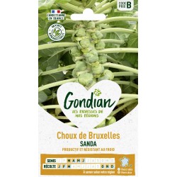 GONDIAN Chou de Bruxelles...