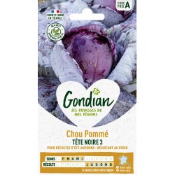 GONDIAN Chou Pommé TÊTE...