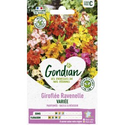 GONDIAN Giroflée Ravenelle...