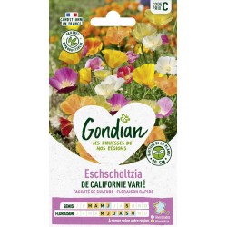 GONDIAN Eschscholtzia DE...