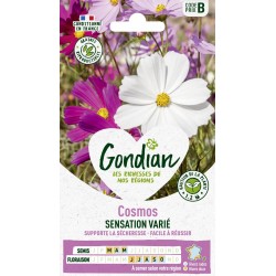 GONDIAN Cosmos SENSATION...