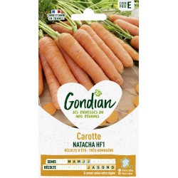 GONDIAN Carotte NATACHA HF1...