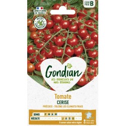 GONDIAN Tomate CERISE...