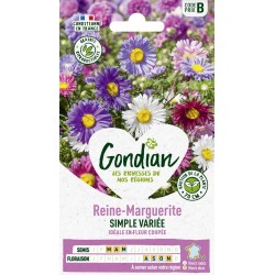 GONDIAN Reine-Marguerite...