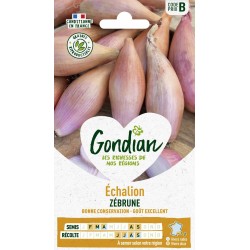 GONDIAN Échalion ZÉBRUNE...