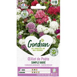 GONDIAN Oeillet de Poète...