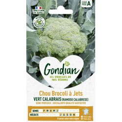 GONDIAN Chou brocoli à Jets...
