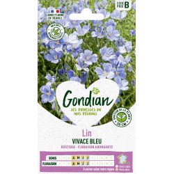 GONDIAN Lin VIVACE BLEU...
