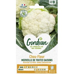 GONDIAN Chou-fleur...