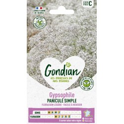 GONDIAN Gypsophile PANICULÉ...