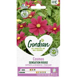 GONDIAN Cosmos SENSATION...