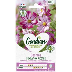 GONDIAN Cosmos SENSATION...