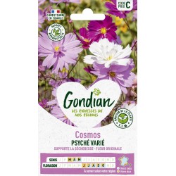 GONDIAN Cosmos PSYCHÉ VARIÉ...