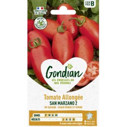 GONDIAN Tomate Allongée SAN...