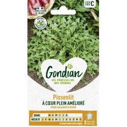 GONDIAN Pissenlit À COEUR...