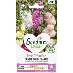 GONDIAN Rose Trémière...