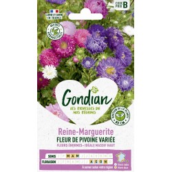 GONDIAN Reine-Marguerite...