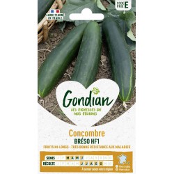 GONDIAN Concombre BRÉSO HF1...