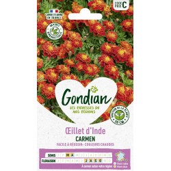 GONDIAN Oeillet d'Inde...