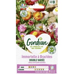 GONDIAN Immortelle à...