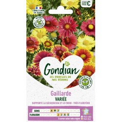 GONDIAN Gaillarde VARIÉE...