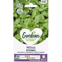 GONDIAN Mélisse OFFICINALE...