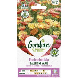 GONDIAN Eschscholtzia...