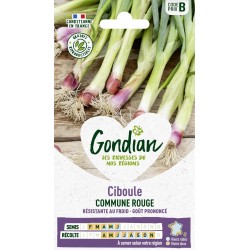 GONDIAN Ciboule COMMUNE...