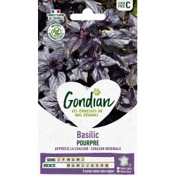 GONDIAN Basilic Pourpre...