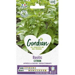 GONDIAN Basilic CITRON...
