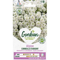 GONDIAN Alysse CORBEILLE...