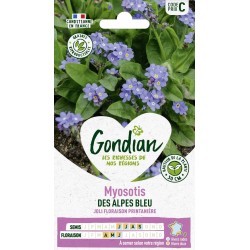 GONDIAN Myosotis DES ALPES...