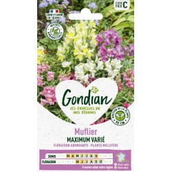 GONDIAN Muflier MAXIMUM...