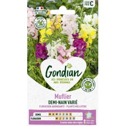 GONDIAN Muflier ½ NAIN...