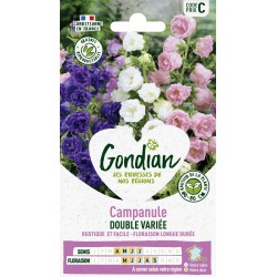 GONDIAN Campanule DOUBLE...