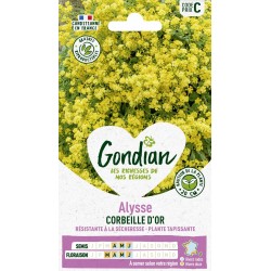 GONDIAN Alysse CORBEILLE...