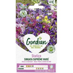 GONDIAN Statice SUPRÊME...