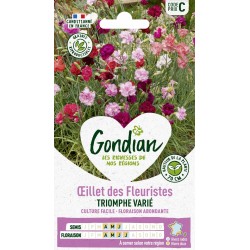 GONDIAN Oeillet des...