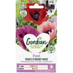 GONDIAN Pavot VIVACE...