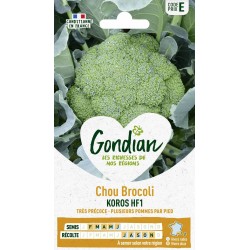 GONDIAN Chou Brocoli KOROS...