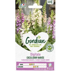 GONDIAN Digitale EXCELSIOR...